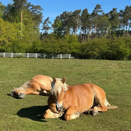 Apartman Seatowers 17 Gdynia