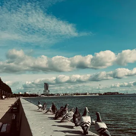 Seatowers 17 Apartman *