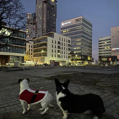 Seatowers 17 גדינייה